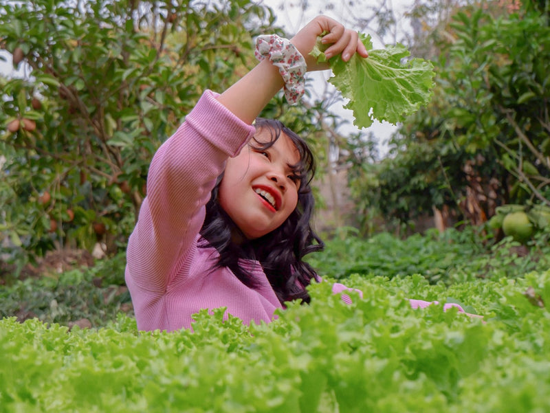 a little girl laying in a field of lettuce