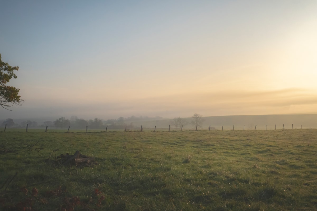 Misty field at sunrise with a fence line.