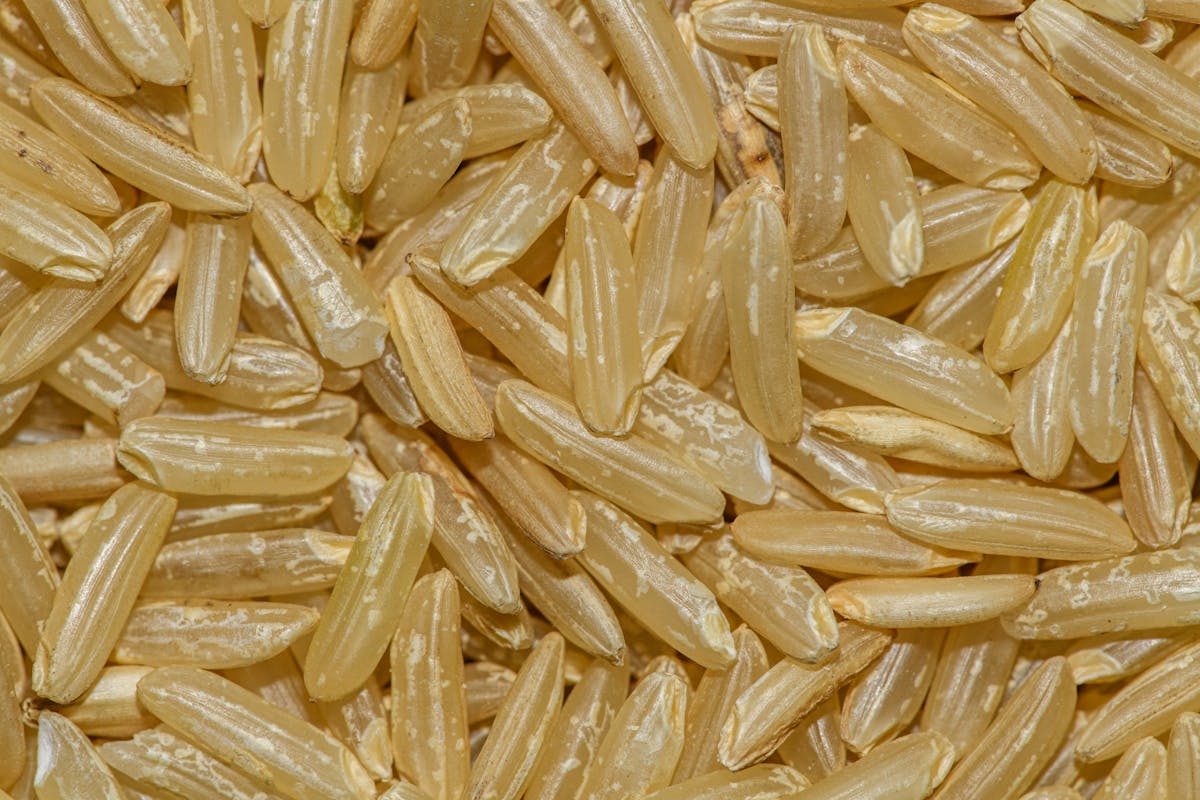 Thiamine (B1) — natural source imagery