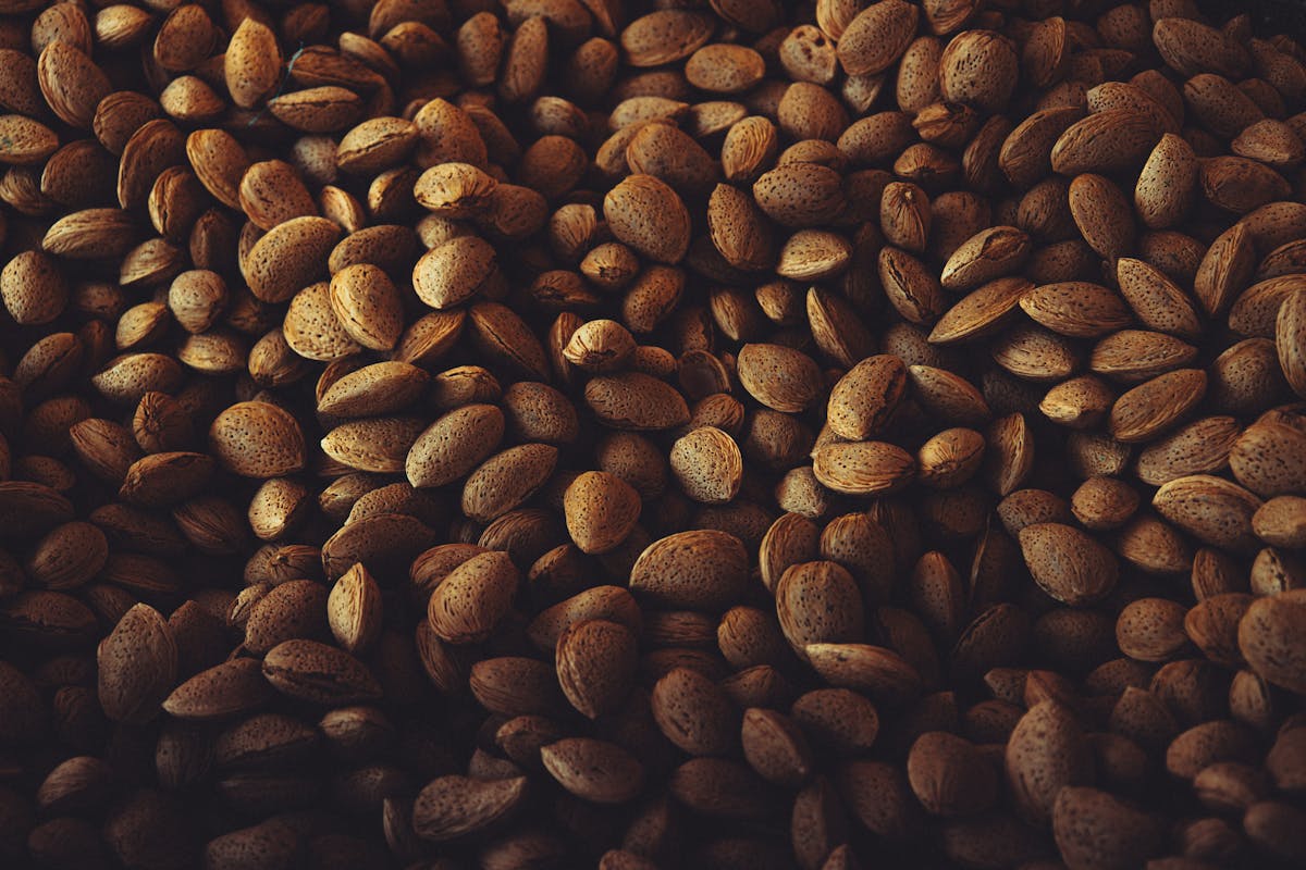 Riboflavin (B2) — natural source imagery
