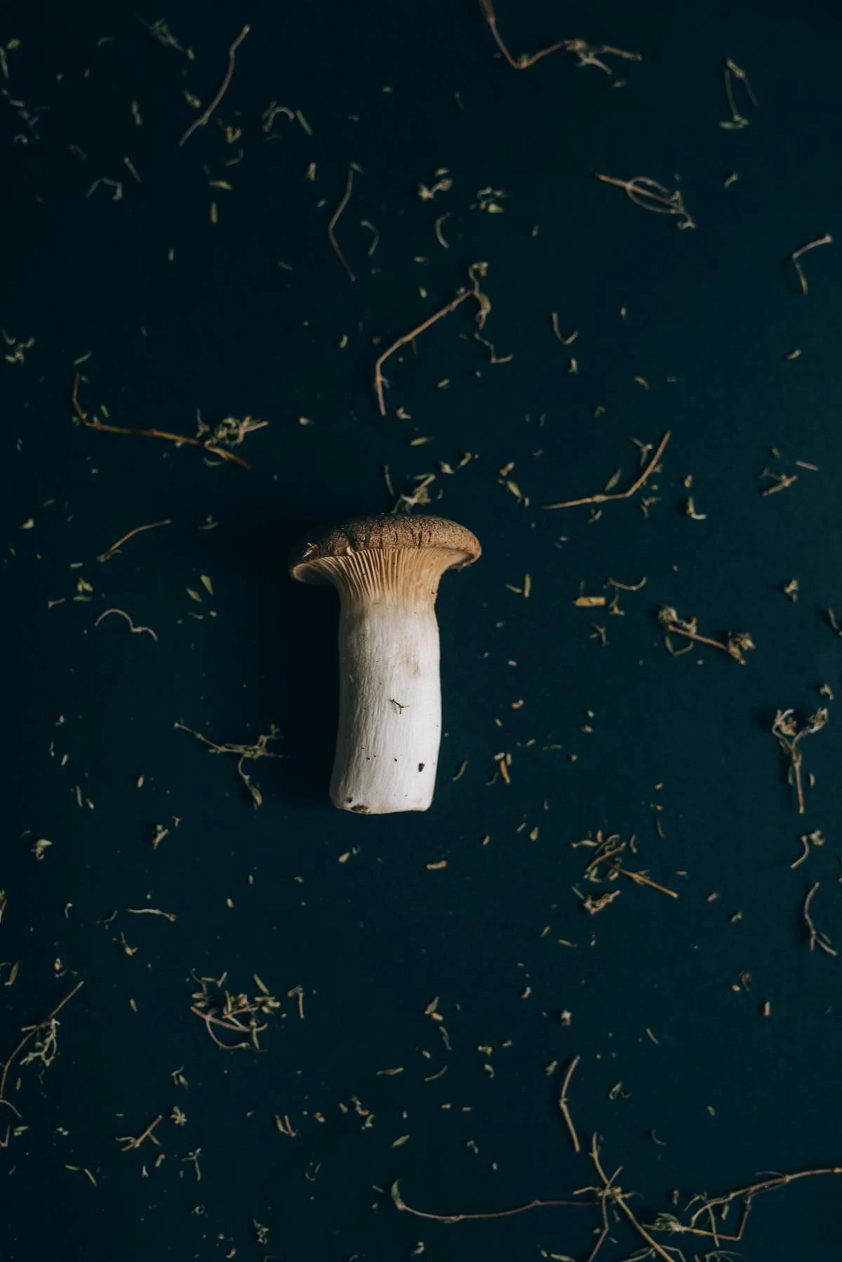Niacinamide (B3) — natural source imagery
