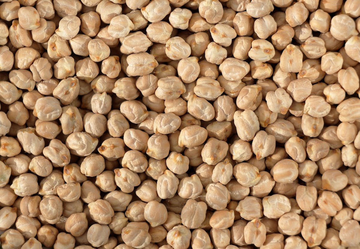 Pyridoxal-5-Phosphate (B6) — natural source imagery
