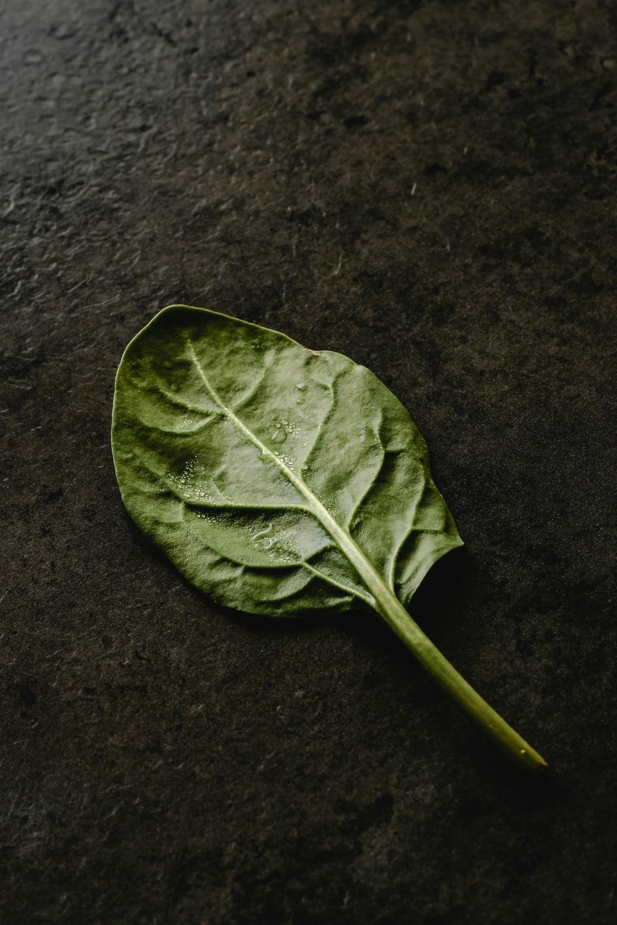 Folate (5-MTHF) — natural source imagery
