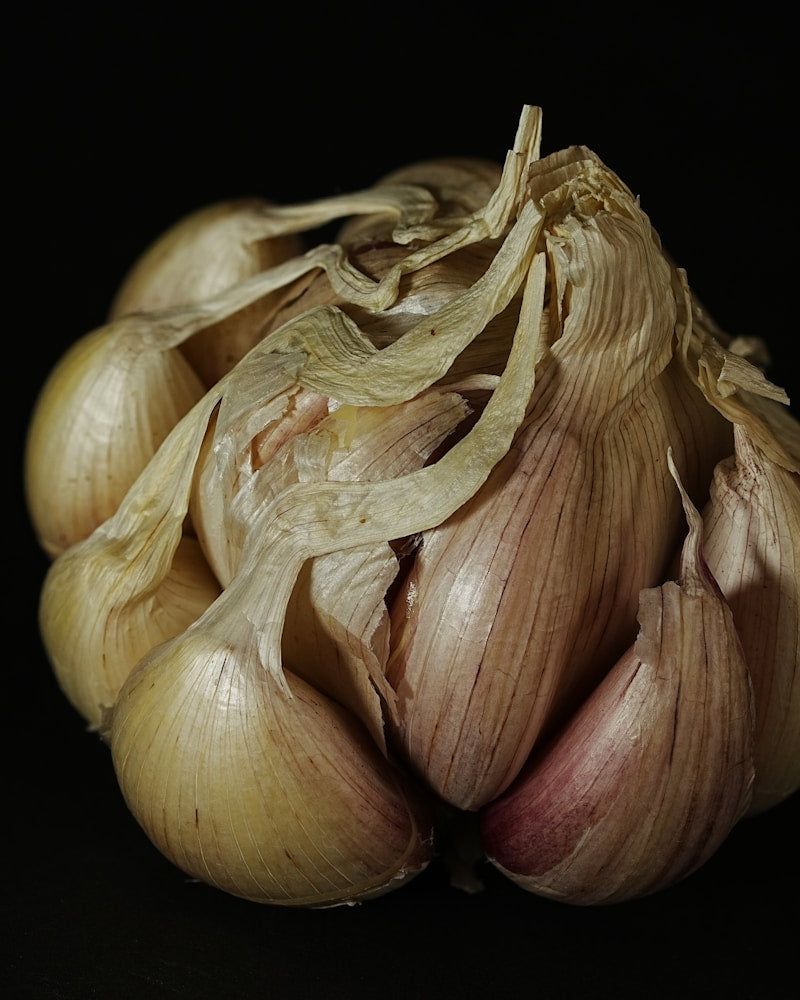 Aged Garlic Extract — natural source imagery
