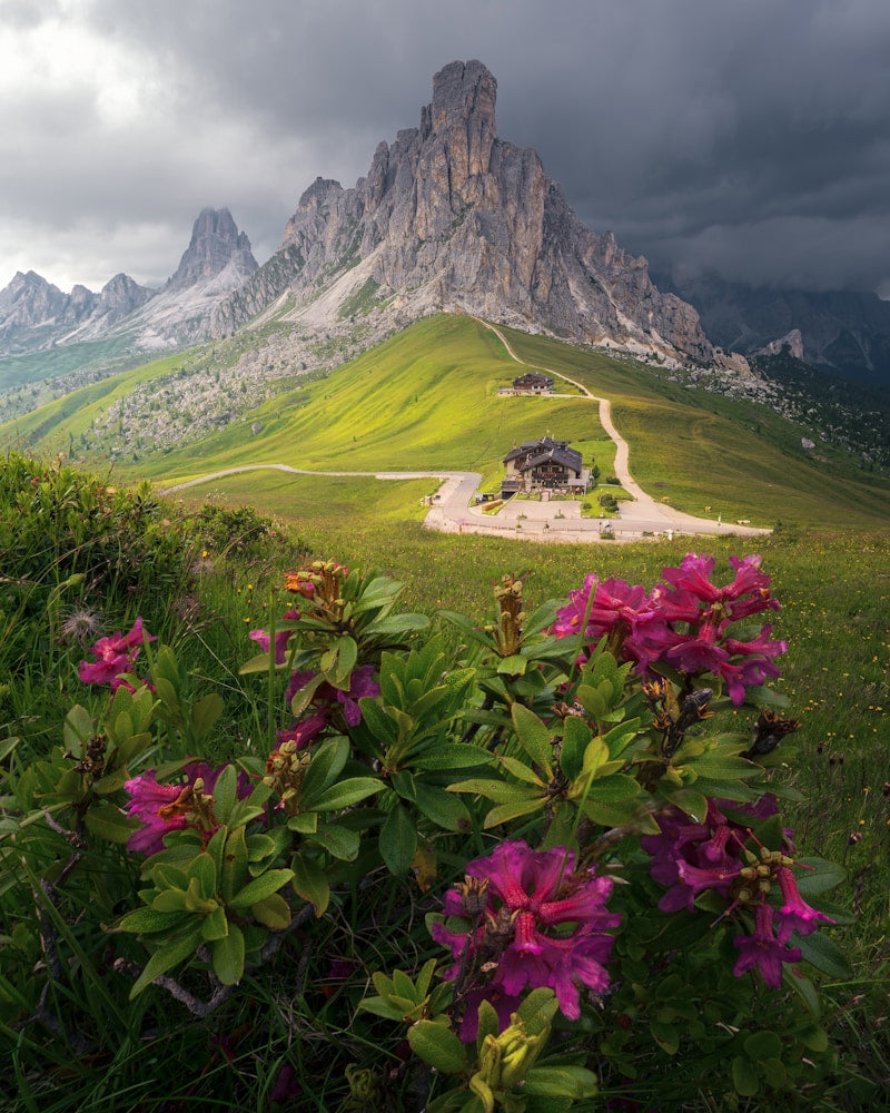 Rhodiola Rosea — natural source imagery