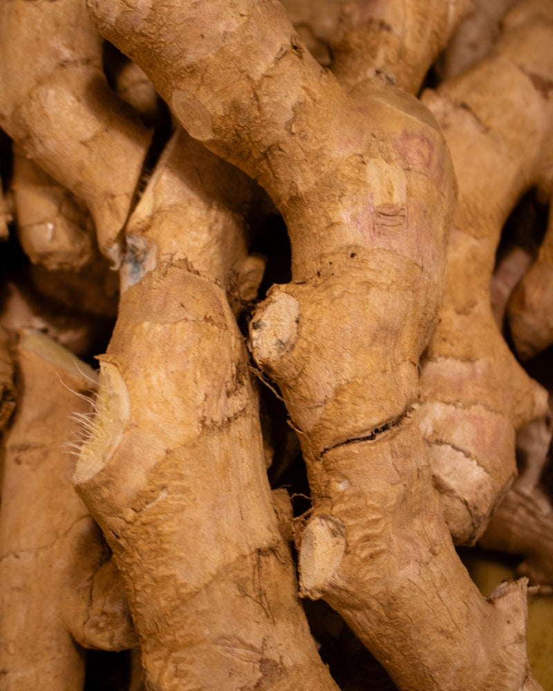 Ginger Root Extract — natural source imagery
