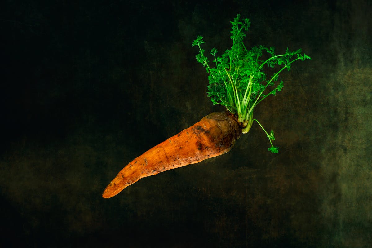 Mixed Carotenoids (Vit A) — natural source imagery